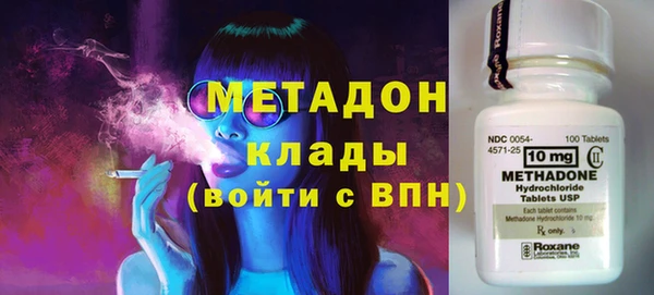 амф Гусев