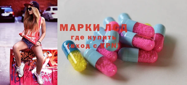 амф Гусев