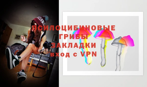 прущая мука Гусь-Хрустальный