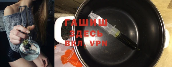 амф Гусев