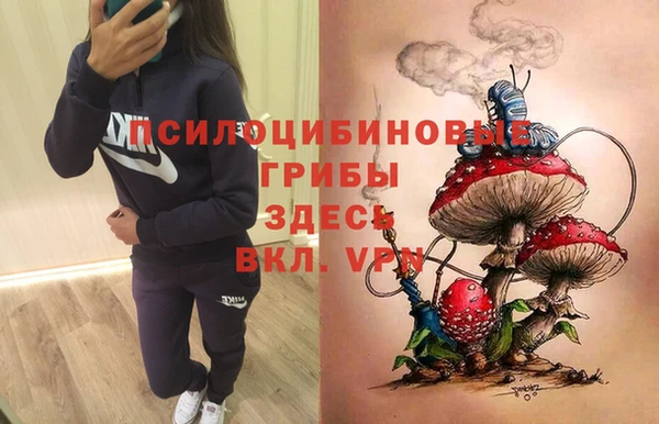 амф Гусев