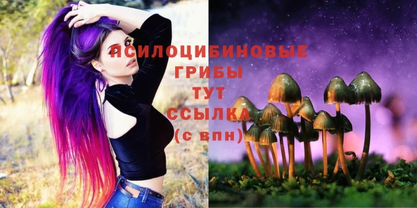 амф Гусев