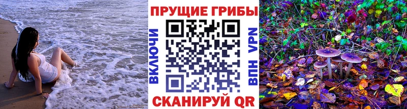 Галлюциногенные грибы MAGIC MUSHROOMS  даркнет сайт  Новомосковск 